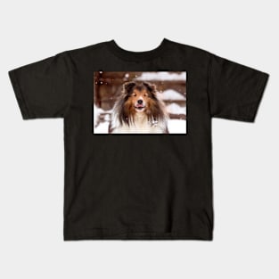 Shetland Sheepdog in the Snow Kids T-Shirt